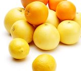 グレープフルーツやレモン
