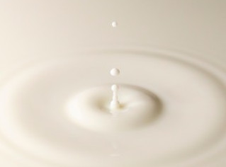 ホエイプロテインが抽出できる乳製品のイメージ