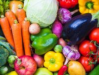 酵素が抽出できる多くの野菜や果物、薬草
