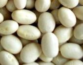 フォセオラミンが豊富な白インゲン豆