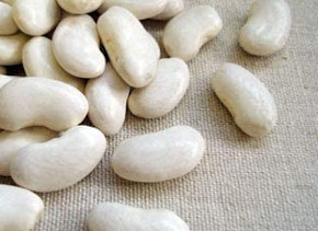 糖の吸収を抑える白いんげん豆