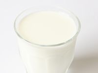 乳酸菌を含む乳製品
